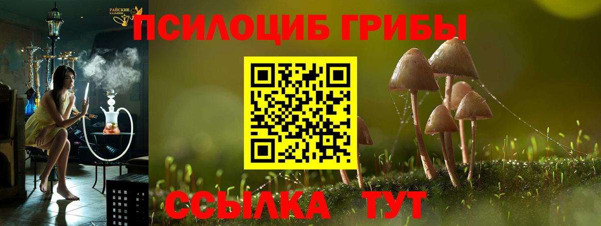 Галлюциногенные грибы ЛСД Зеленодольск